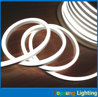 220v/110v/24v luz de corda LED 10*18mm rgb neon flex luz com preço inferior