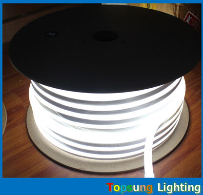 Lâmpada de néon LED de 10*18mm com tensão 110/220/24