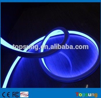 Iluminação flexível de néon azul quadrado de alta qualidade 110v 120LEDs/m para edifícios ao ar livre