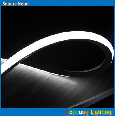 Impressionante quadrado brilhante 127v 16*16m luz de néon branca LED para exterior