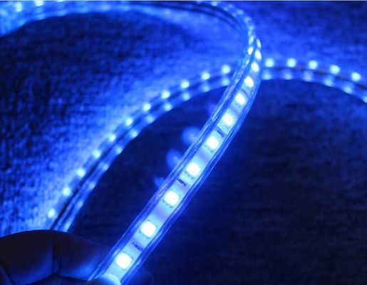 5050 luzes de banda AC 220V 60LED/M iluminação azul