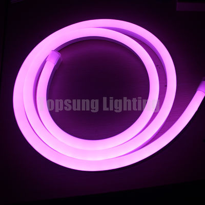 Lâmpadas flexíveis de neon de 24V digitais