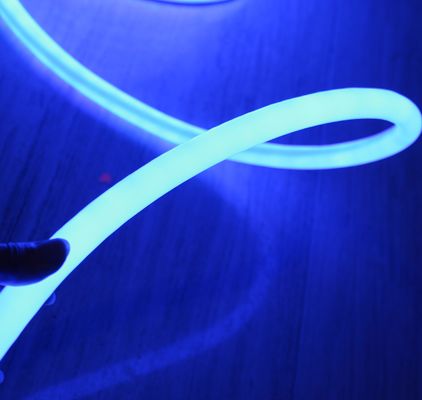 360 LED neon flex SMD luzes de neon led banda 24v impermeável cabo de decoração exterior azul cor 220v