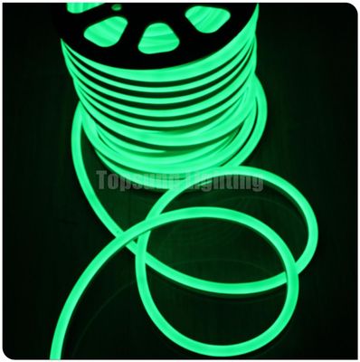 SMD 2835 luz de néon LED 12V corda flex à prova d'água exterior luz de neon LED faixa verde