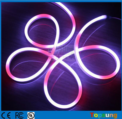 24V/12V Full Color Programmable Smart Digital Duplo Lado 5050 Pixel RGB Led Neon Flex