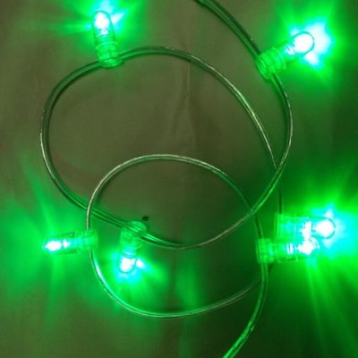 luz verde de PVC de cristal Wire DC 12V 1000leds luz de fada corda 100m/rolo led luzes de brotos