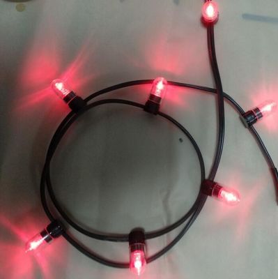 12v de baixa potência LED clip light 100m/roll luzes de Natal led string luzes de arroz vermelho 666 lâmpadas
