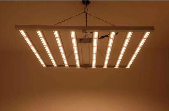 Lâmpadas de crescimento de LED para interiores de espectro completo Lâmpadas de crescimento para plantas 600w